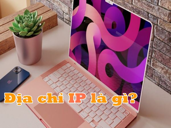 Địa chỉ IP là gì? IP động, có mấy loại địa chỉ IP và cách tra cứu