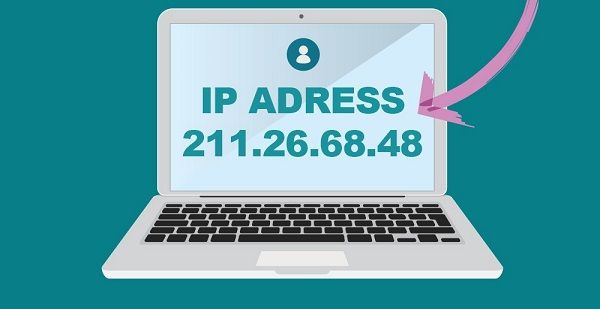 Địa chỉ IP là gì? IP động, có mấy loại địa chỉ IP và cách tra cứu